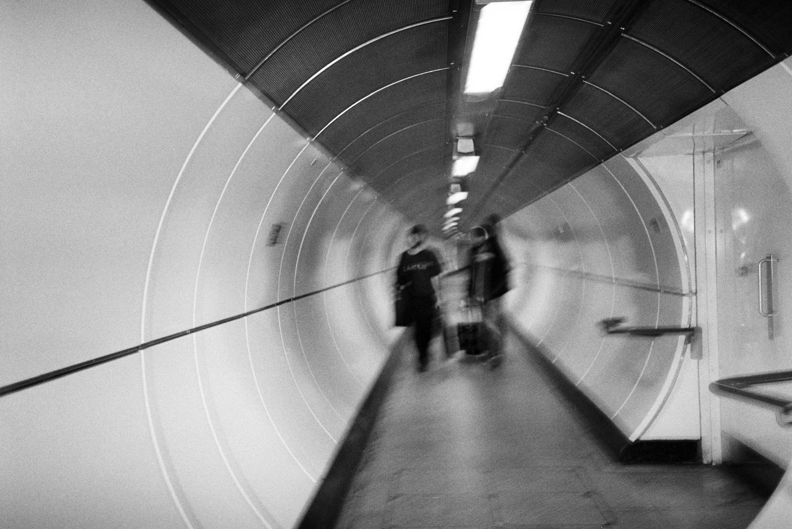 Hopkingdom, photograph 1