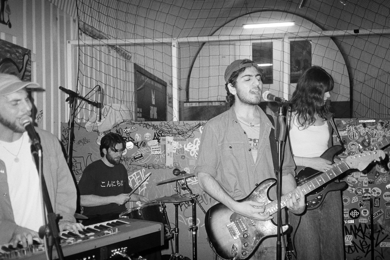 Hopkingdom, photograph 4